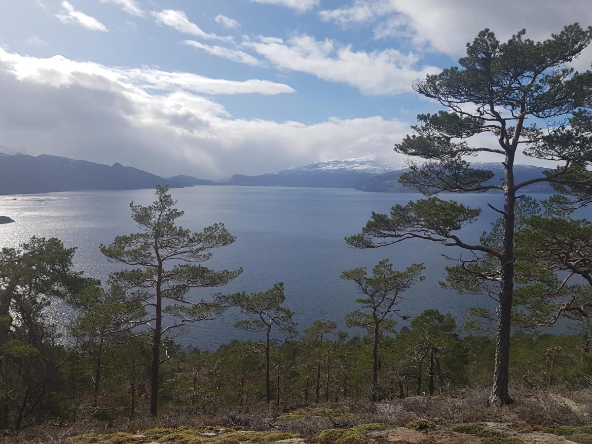 Treehut, Nature, Birds, Silence And Fjord Samlanes Exterior foto