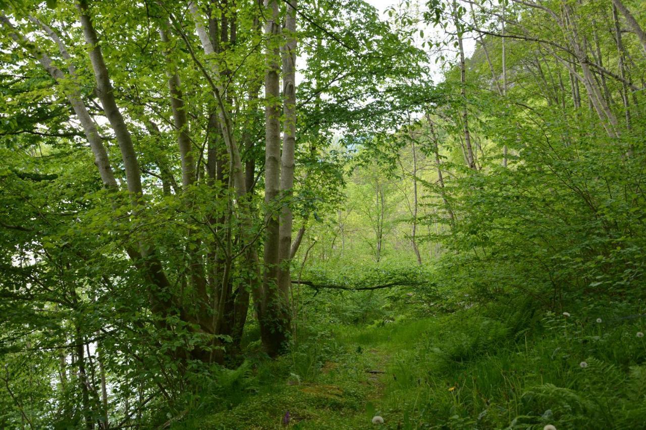 Treehut, Nature, Birds, Silence And Fjord Samlanes Exterior foto