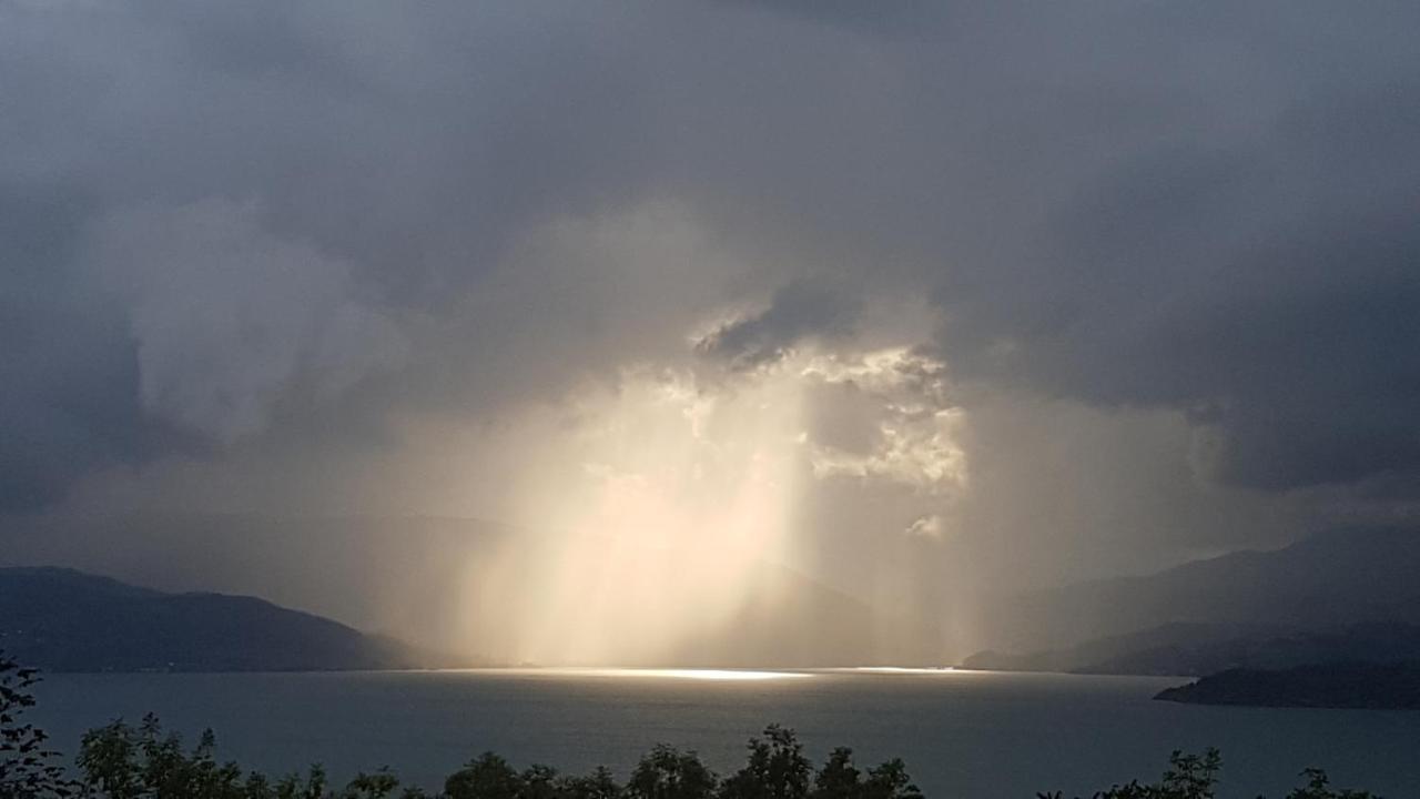 Treehut, Nature, Birds, Silence And Fjord Samlanes Exterior foto