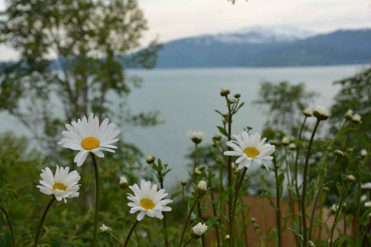 Treehut, Nature, Birds, Silence And Fjord Samlanes Exterior foto