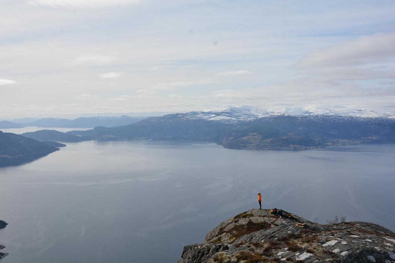Treehut, Nature, Birds, Silence And Fjord Samlanes Exterior foto