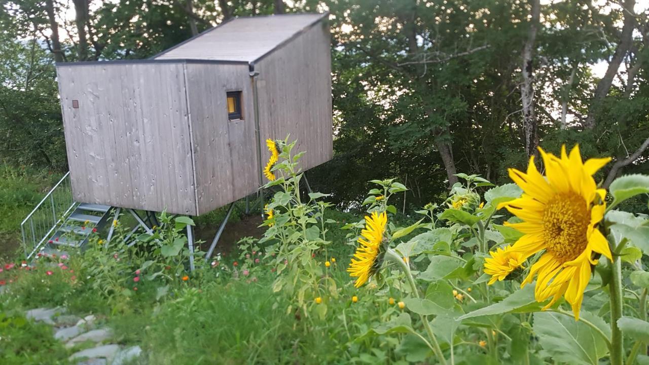 Treehut, Nature, Birds, Silence And Fjord Samlanes Exterior foto