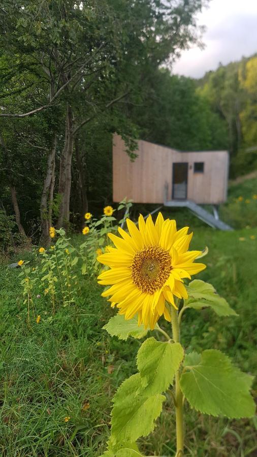 Treehut, Nature, Birds, Silence And Fjord Samlanes Exterior foto